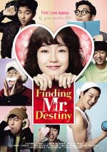 Watch Finding Mr. Destiny 123moviesFree
