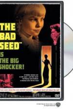 Watch The Bad Seed 123moviesFree