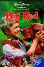 Watch Big Red 123moviesFree