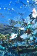 Watch Garbage Island 123moviesFree