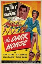 Watch The Dark Horse 123moviesFree