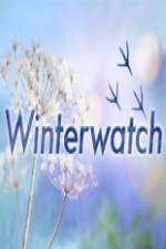 Watch Winterwatch 123moviesFree