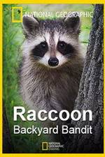 Watch Raccoon: Backyard Bandit 123moviesFree