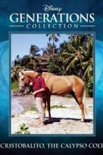 Watch Cristobalito the Calypso Colt 123moviesFree