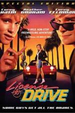Watch License to Drive 123moviesFree