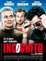 Watch Incognito 123moviesFree