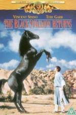 Watch The Black Stallion Returns 123moviesFree