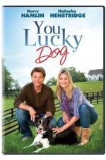 Watch You Lucky Dog 123moviesFree