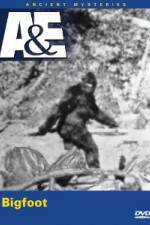 Watch A&E Ancient Mysteries - Bigfoot 123moviesFree