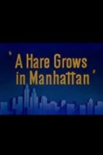 Watch A Hare Grows in Manhattan 123moviesFree