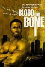 Watch Blood and Bone 123moviesFree