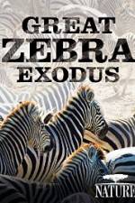 Watch Nature: Great Zebra Exodus 123moviesFree