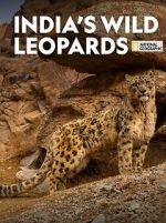 Watch India\'s Wild Leopards (Short 2020) 123moviesFree