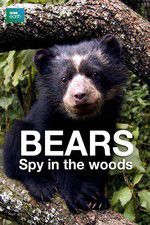 Watch Bears: Spy in the Woods 123moviesFree