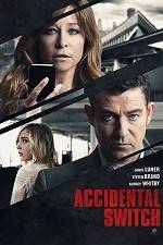 Watch Accidental Switch 123moviesFree