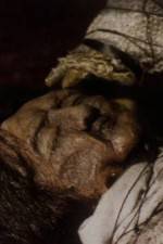 Watch The Separation 123moviesFree