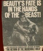 Watch The Return of the Incredible Hulk 123moviesFree