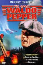 Watch The Great Waldo Pepper 123moviesFree