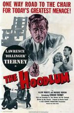 Watch The Hoodlum 123moviesFree