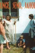 Watch Slunce, seno, jahody 123moviesFree