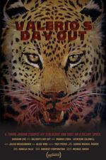 Watch Valerio\'s Day Out (Short 2019) 123moviesFree