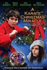 Watch A Karate Christmas Miracle 123moviesFree