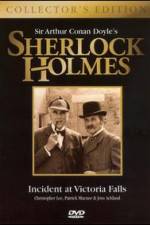 Watch Incident at Victoria Falls 123moviesFree