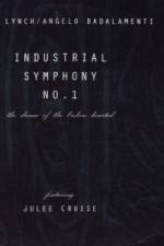 Watch Industrial Symphony No 1 The Dream of the Brokenhearted 123moviesFree