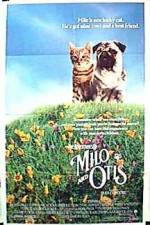 Watch Milo and Otis 123moviesFree