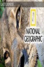 Watch The Last Lioness 123moviesFree