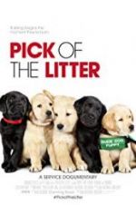 Watch Pick of the Litter 123moviesFree