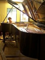 Watch Note by Note: The Making of Steinway L1037 123moviesFree