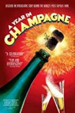 Watch A Year in Champagne 123moviesFree