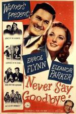 Watch Never Say Goodbye 123moviesFree