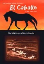Watch El Caballo: The Wild Horses of North America 123moviesFree