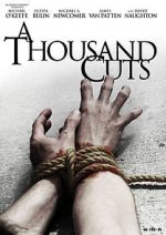 Watch A Thousand Cuts 123moviesFree