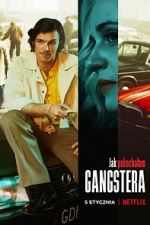 Watch How I Fell in Love with a Gangster 123moviesFree