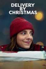 Watch Delivery by Christmas 123moviesFree