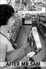 Watch After Mr. Sam 123moviesFree