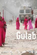 Watch Gulabi Gang 123moviesFree