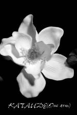 Watch Kataude 123moviesFree