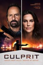 Watch Culprit 123moviesFree