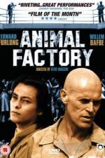 Watch Animal Factory 123moviesFree