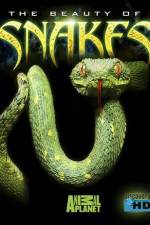 Watch The Beauty of Snakes 123moviesFree