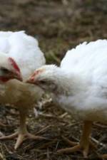 Watch Meet Your Meat 123moviesFree