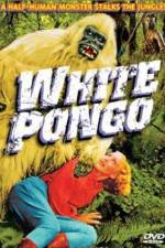 Watch White Pongo 123moviesFree