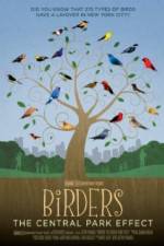 Watch Birders The Central Park Effect 123moviesFree