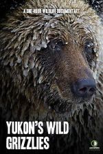 Watch Yukon\'s Wild Grizzlies 123moviesFree