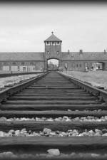 Watch AUSCHWITZ: ORDERS AND INITIATIVES 123moviesFree