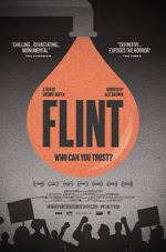 Watch Flint 123moviesFree